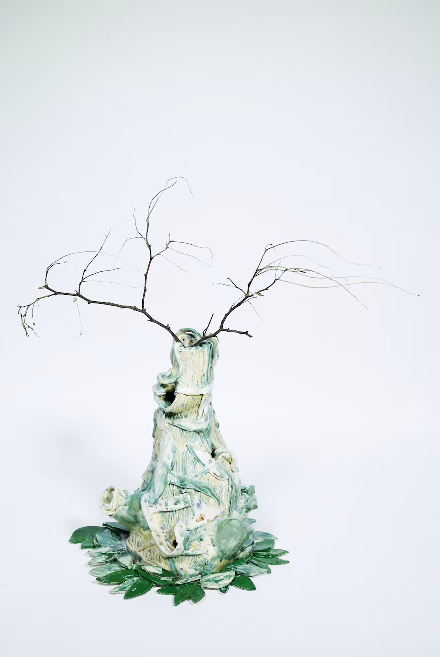 The leaves fell, falling, until the only tree was the falling itself. (2025) Glazed ceramics, driftwood, found natural materials, salt. Dimensions Variable 