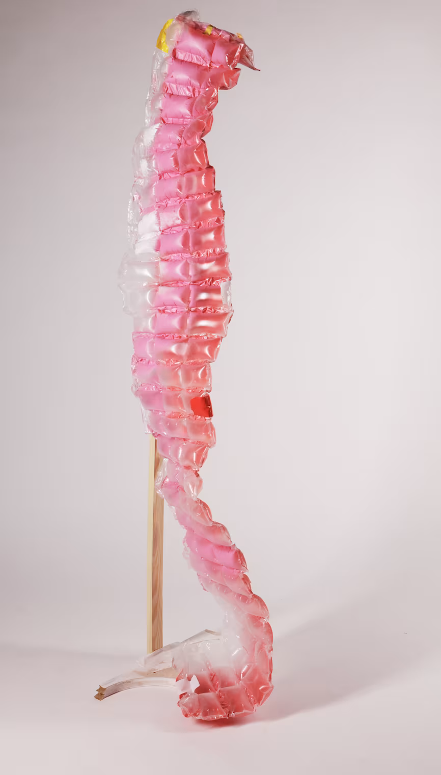 Chain Reaction. (2019) Mixed media. Dimensions variable. 