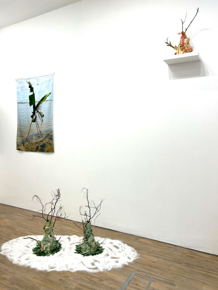 Install shot of Landscapes of Hope exhibition School Gallery, Folkestone, 2025